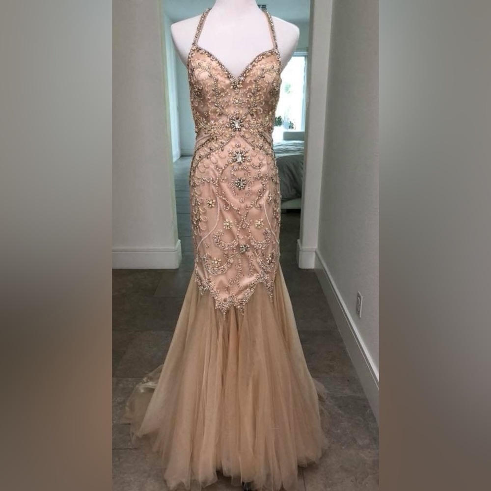 Terani Couture Blush Evening Gown